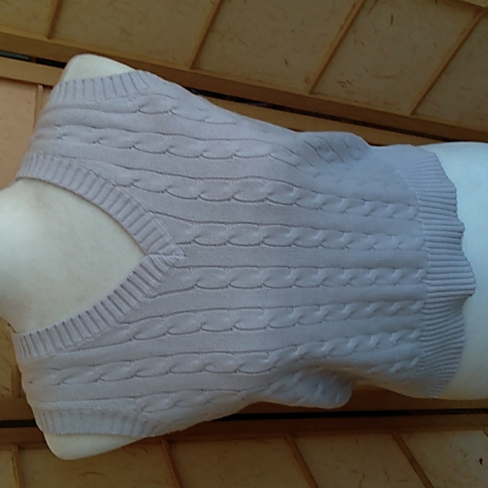 Brandy Melville gray/purple sweater vest - Picture 1 of 7